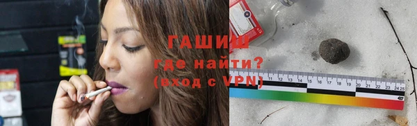 индика Абаза