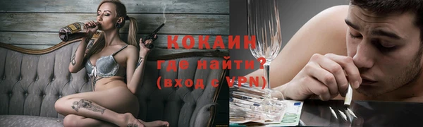 индика Абаза
