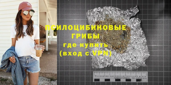 индика Абаза