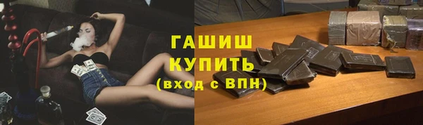 индика Абаза