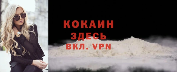 индика Абаза