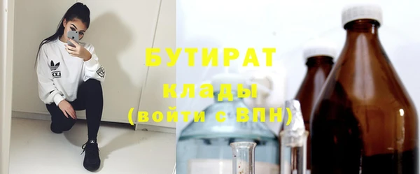 индика Абаза