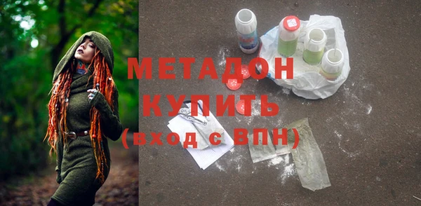 индика Абаза