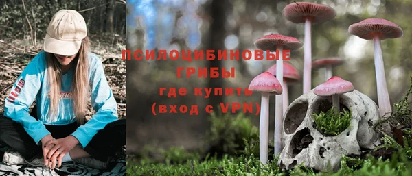 МДПВ Абдулино