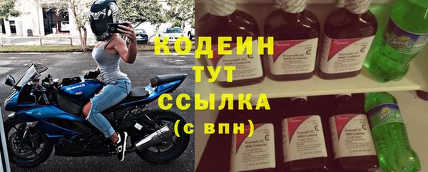 индика Абаза