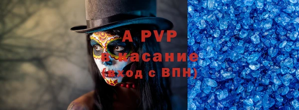 индика Абаза