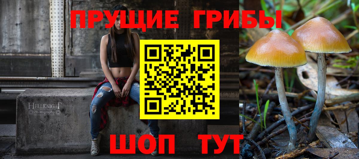 Шали  Галлюциногенные грибы Cubensis  Вход с VPN  Галлюциногенные грибы Cubensis 