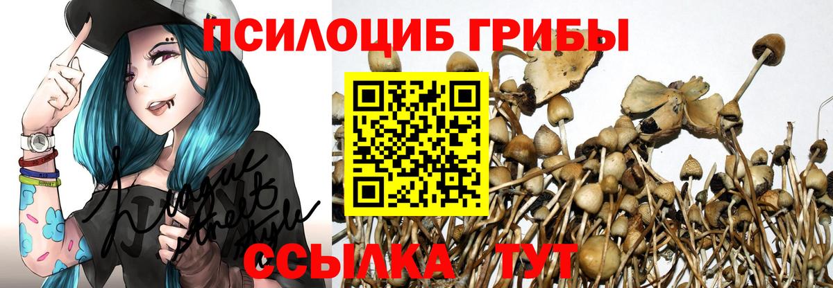 Псилоцибиновые грибы Magic Shrooms Шали