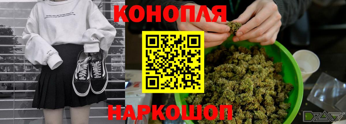 Шишки марихуана конопля Шали